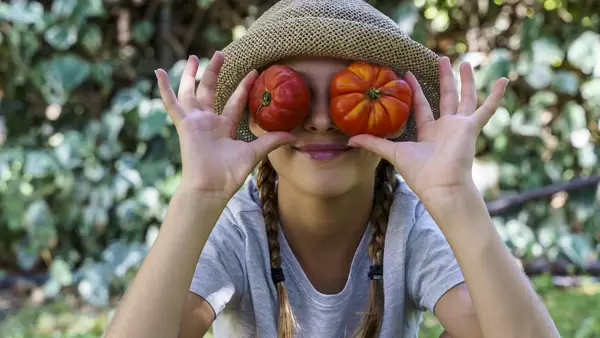 6 Delicious Ways to Enjoy Summer Tomatoes