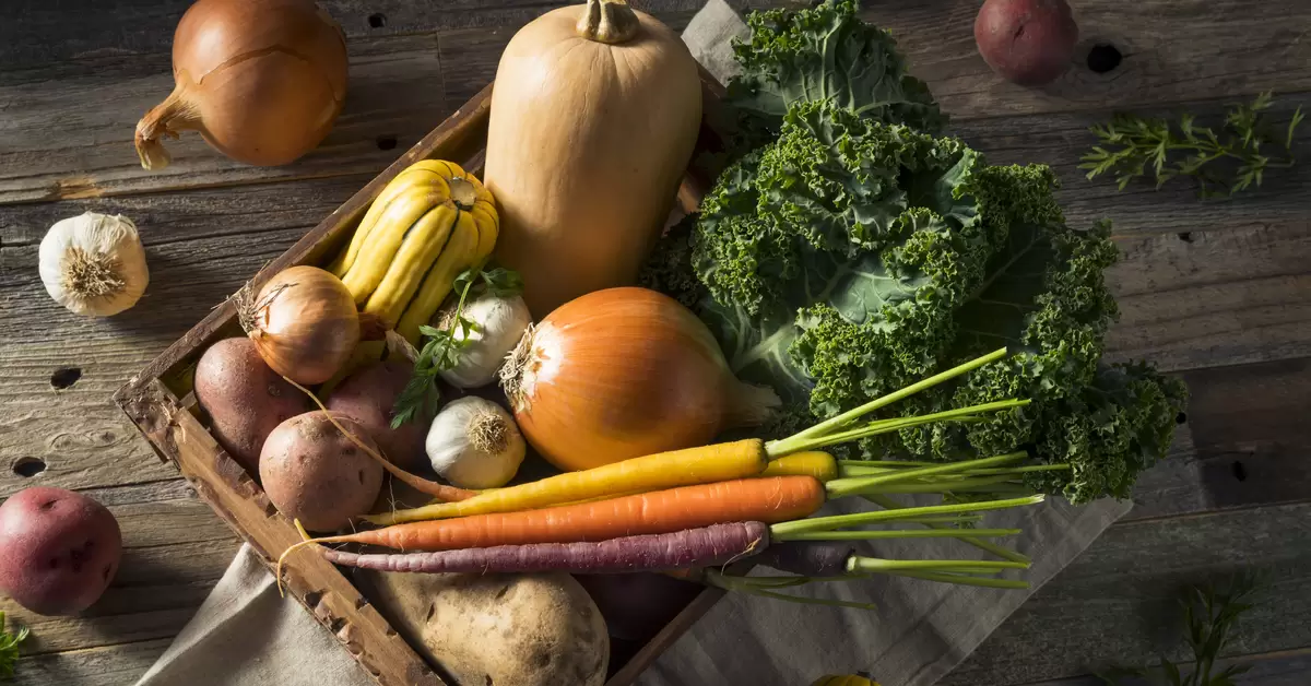 Winter Superfoods That Help Your Immune System