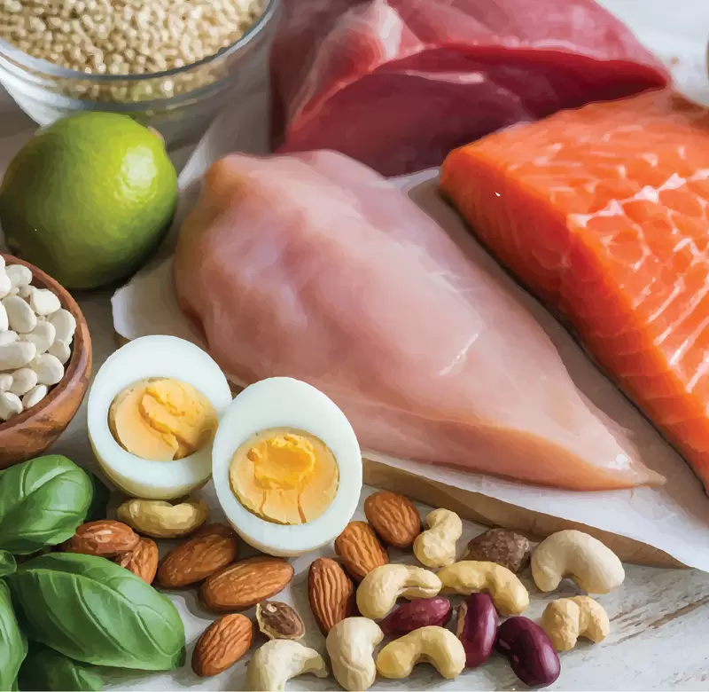 high protein meals glp 1 15 GLP-1 High Protein Recipes for Weight Loss Support